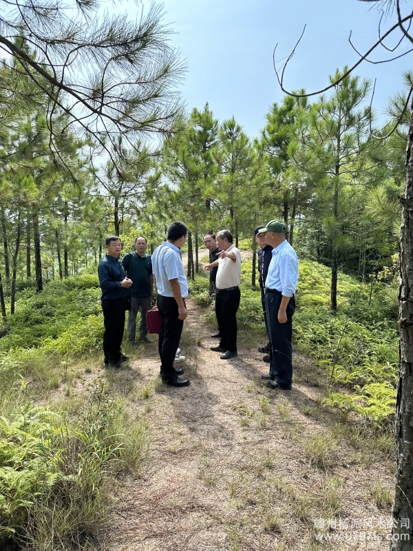 徐汇区学杨公风水跟陈荣昌老师实在